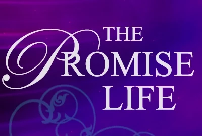 the_promise_life