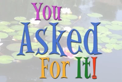 you_asked_for_it